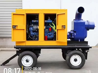 La pompe à eau peinte de diesel de finition a placé la pompe à eau mobile de 1500 t/mn