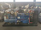 Petit générateur diesel de 180 kilowatts générateur diesel silencieux de 225 KVAs