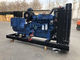 200kw générateur diesel bleu Leroy Somer Alternator Electric Generating Set